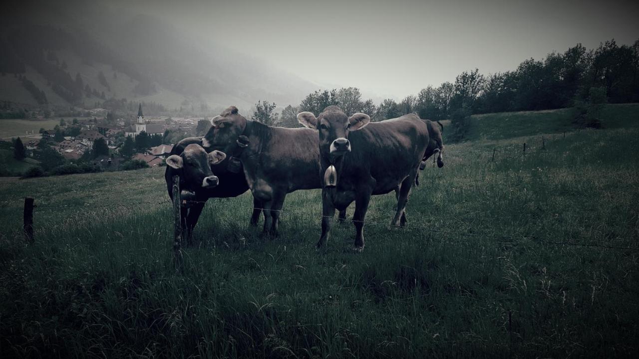 Landhaus Via Decia - Bad Hindelang Plus Partner Bagian luar foto